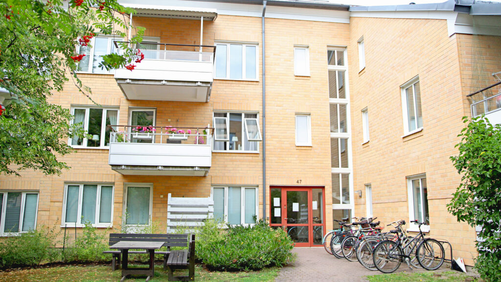 Innergård med gröna växter och cyklar