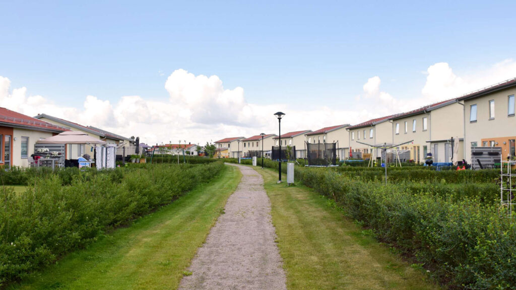 Liten gångväg med grön häck mellan husen