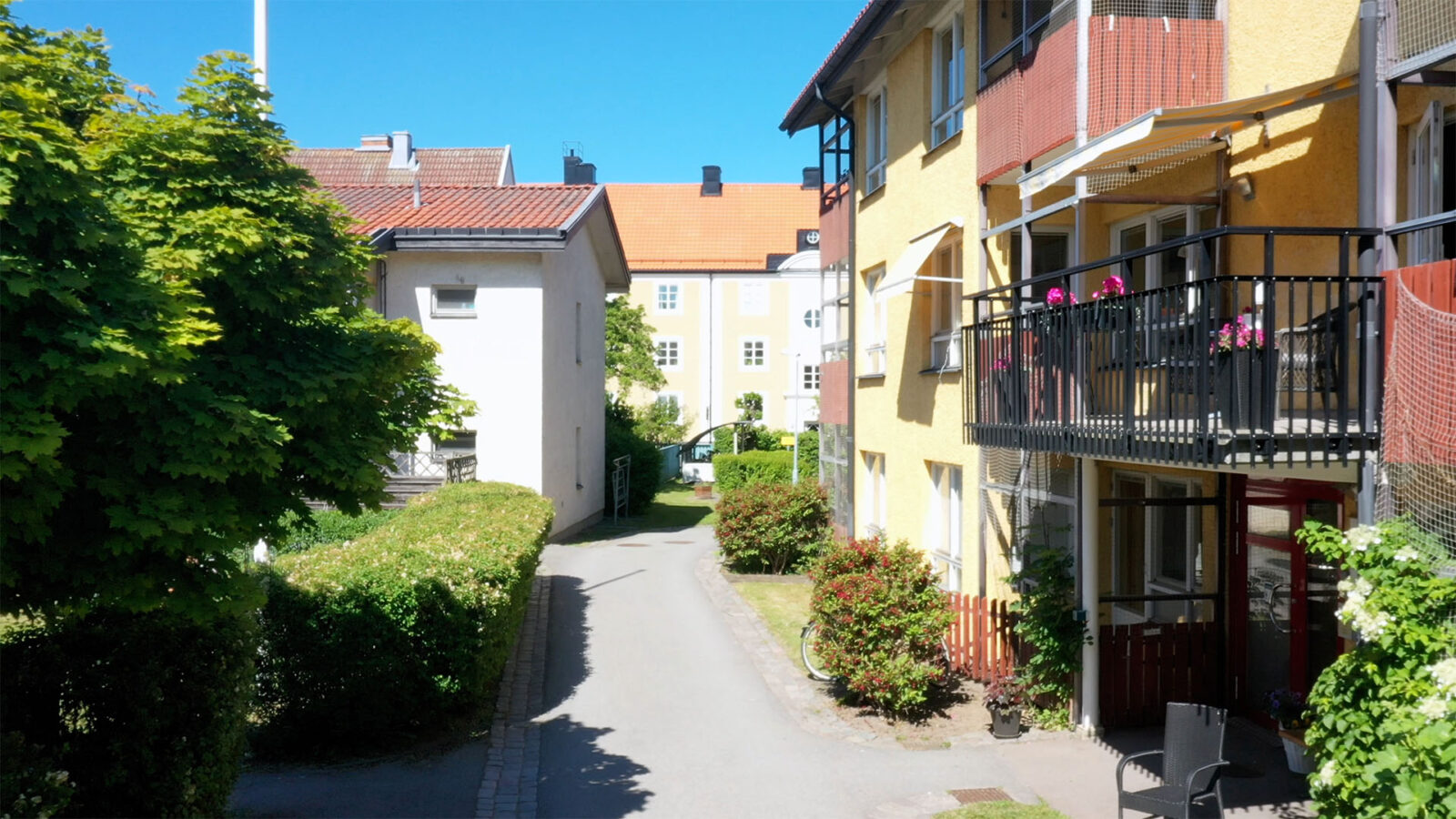 Innergård med gröna buskar och blommor